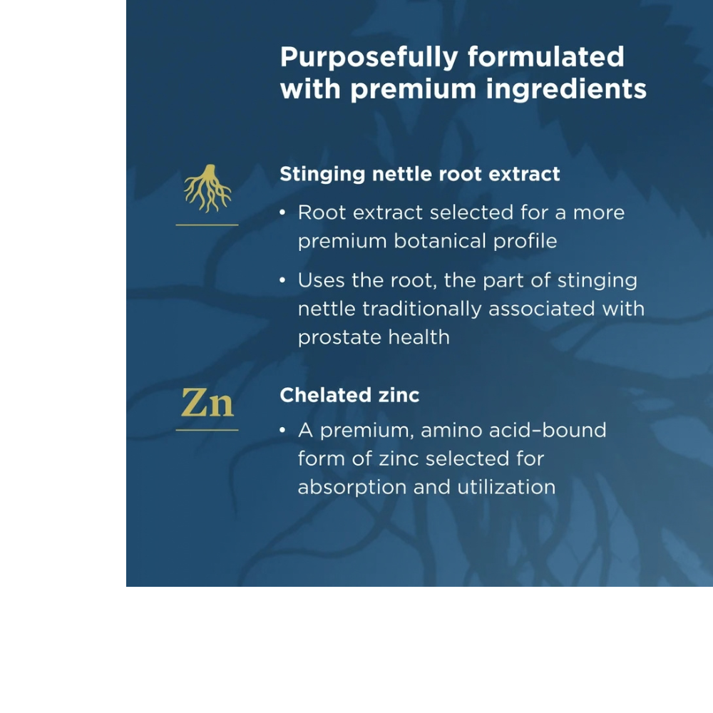 MEN'S PROSTATE SUPPORT