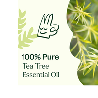 Thumbnail for Aceite esencial de árbol de té