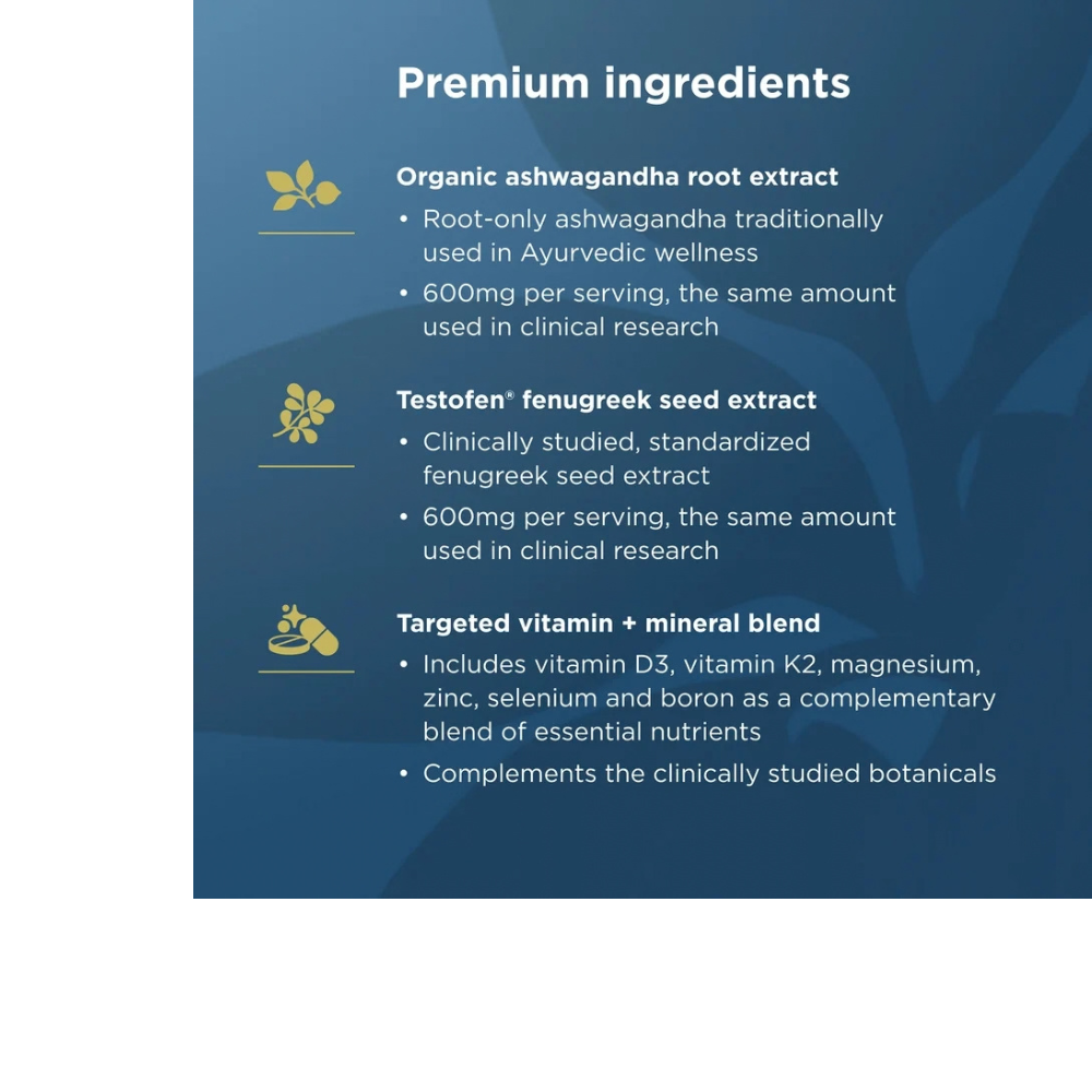 MEN'S TESTOSTERONE BOOSTER