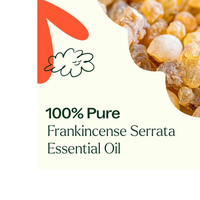 Thumbnail for Frankincense Serrata Essential Oil