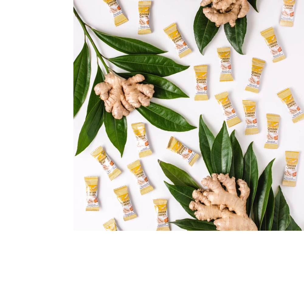 MASTICABLES DE JENGIBRE ORIGINAL PLUS