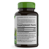 Thumbnail for Horsetail Grass