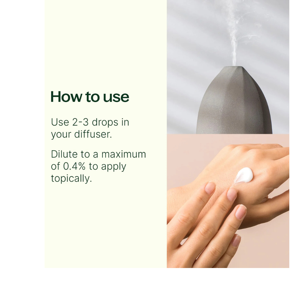 Dalmatian Sage Essential Oil