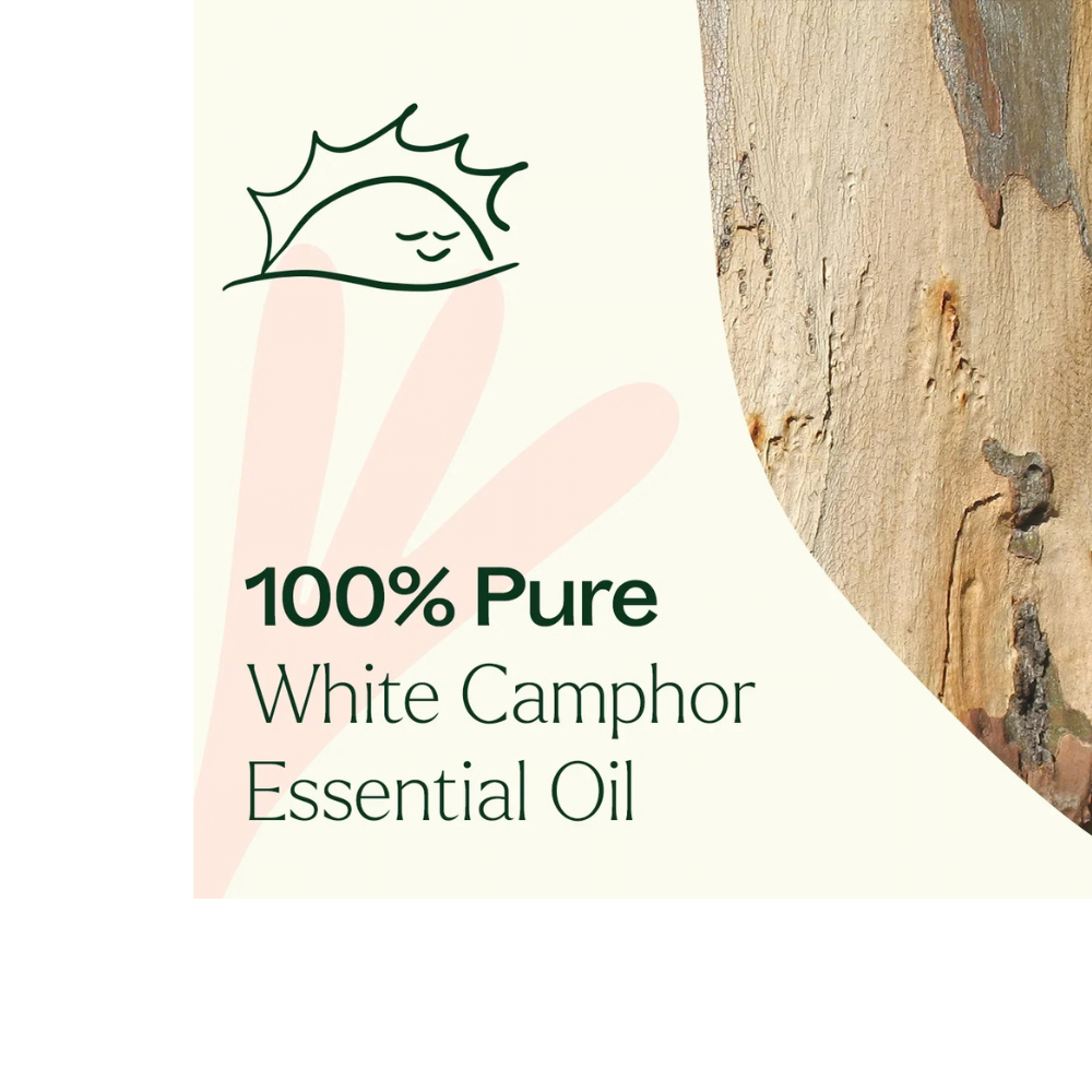 White Camphor Essential Oil