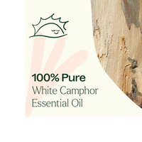 Thumbnail for White Camphor Essential Oil