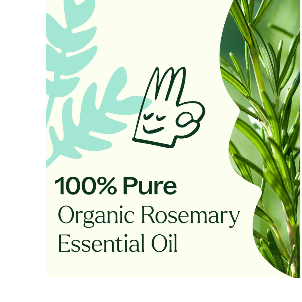Organic Rosemary 1,8-Cineole Essential Oil