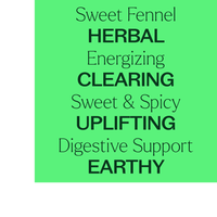Thumbnail for Sweet Fennel Essential Oil