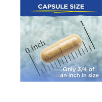 Thumbnail for Critical Liver Care: Daily Support