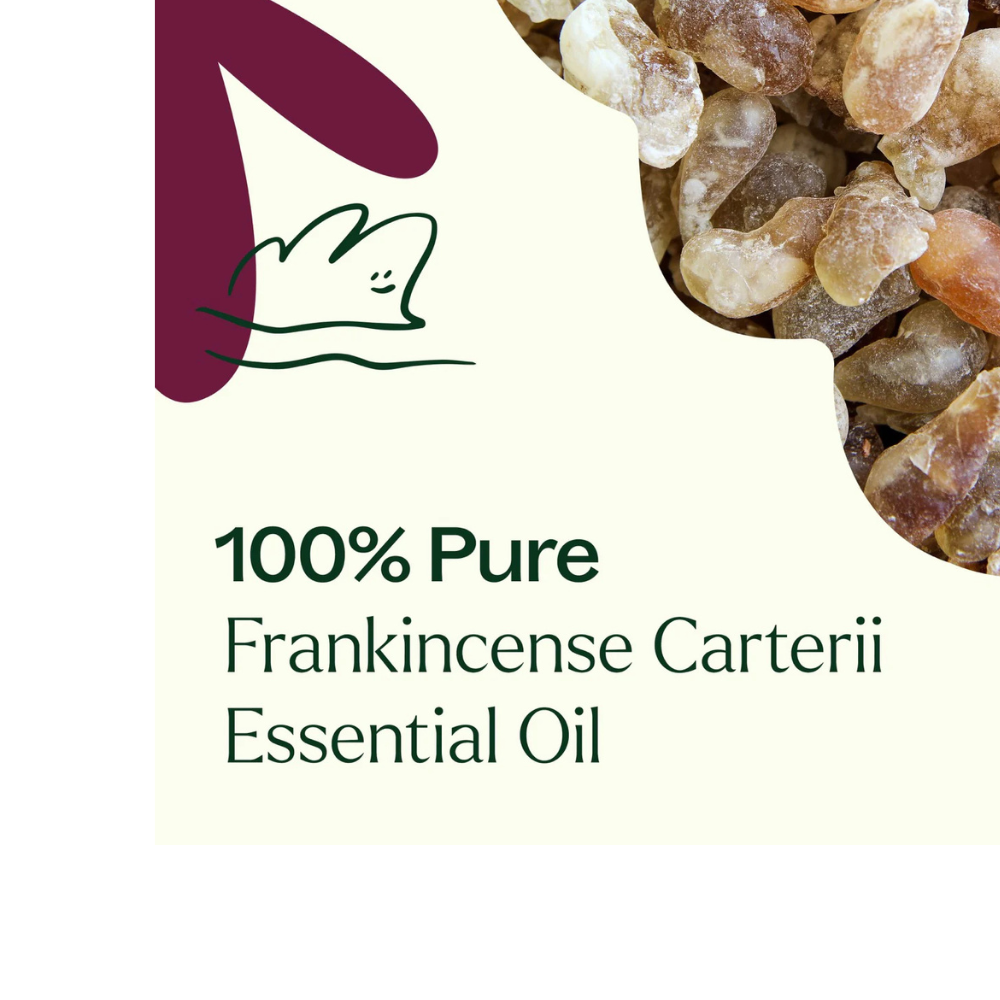 FRANKINCENSE CARTERII ESSENTIAL OIL