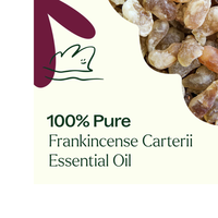 Thumbnail for FRANKINCENSE CARTERII ESSENTIAL OIL