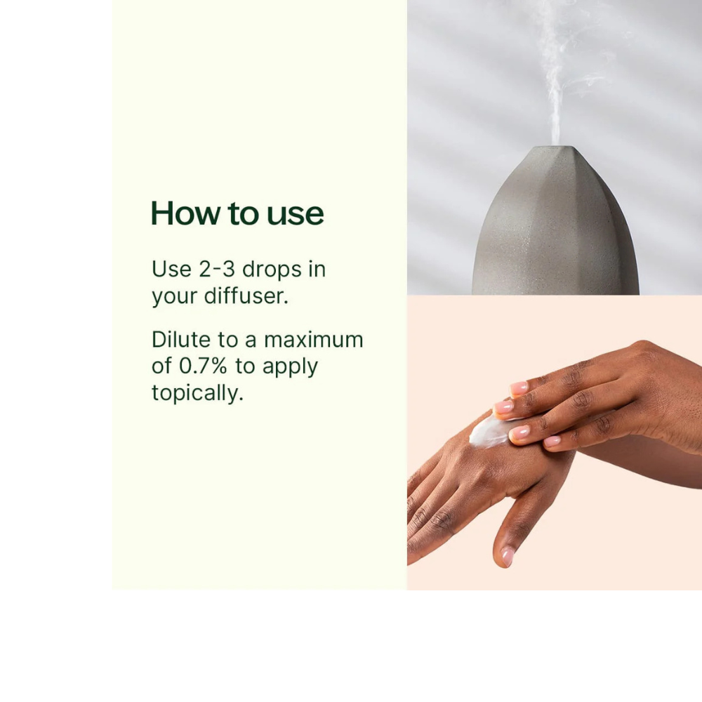 Lemon Myrtle Essential Oil