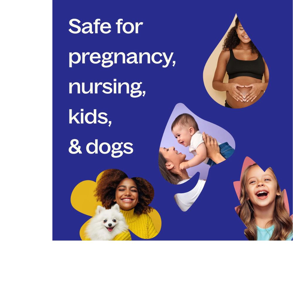 Organic Lavender Essential Oil