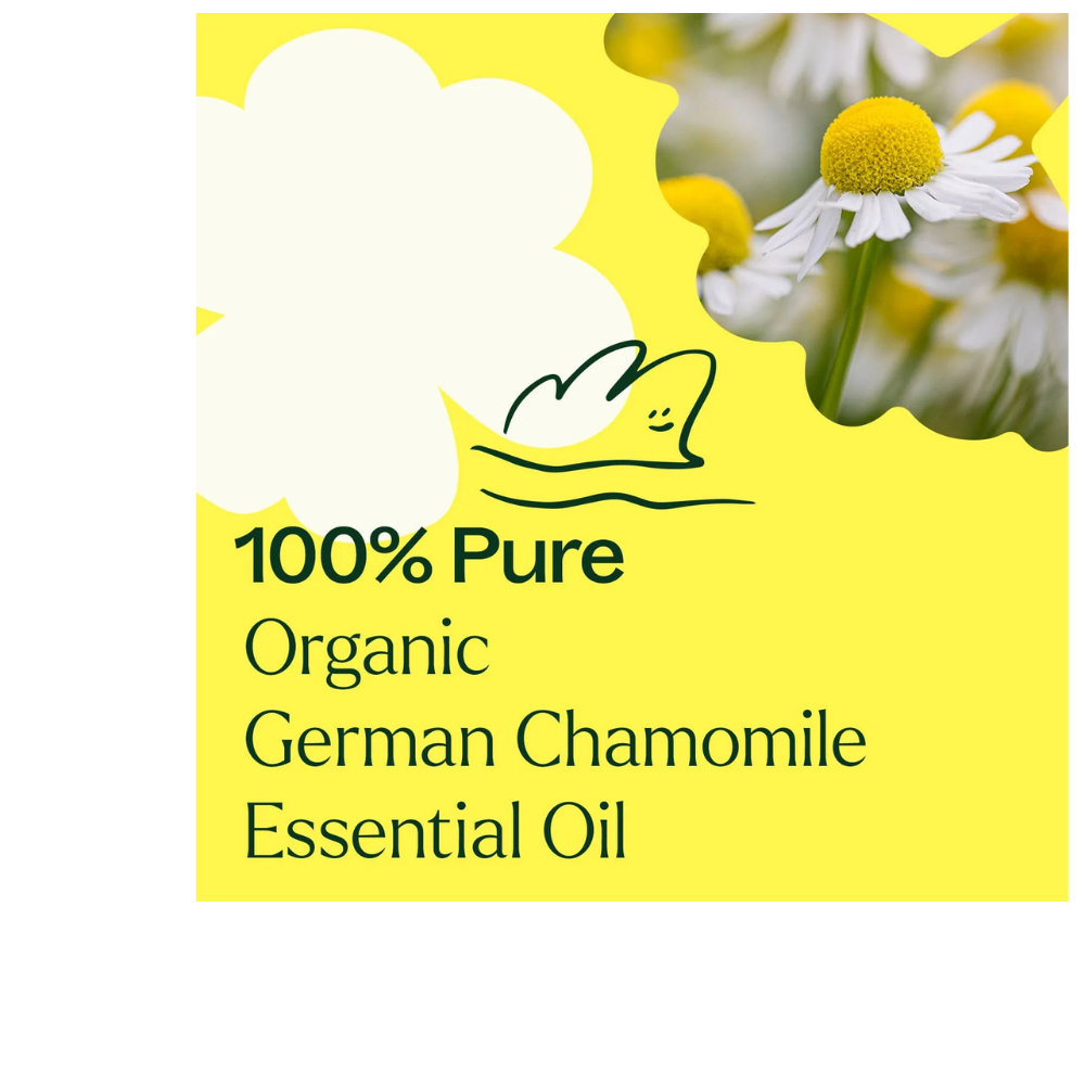 Organic German Chamomile Essential Oil
