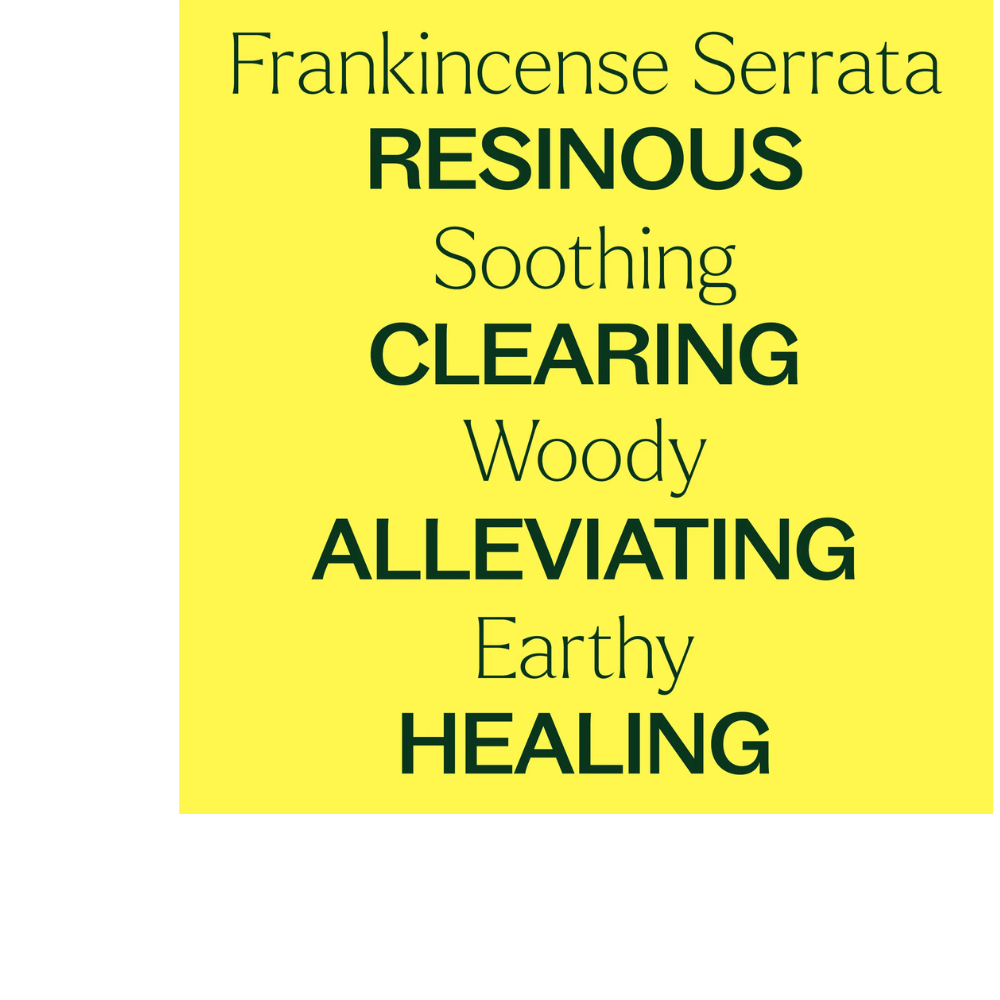 Frankincense Serrata Essential Oil