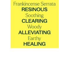 Thumbnail for Frankincense Serrata Essential Oil