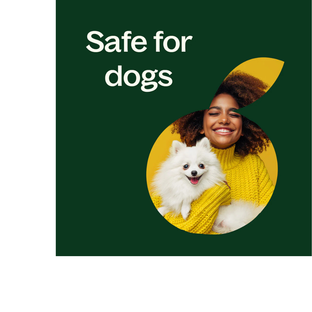 Organic Lemongrass Essential Oil