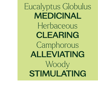 Thumbnail for Organic Eucalyptus Globulus Essential Oil