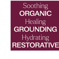 Thumbnail for Organic Lavender & Frankincense Castor Body Oil Roll-On