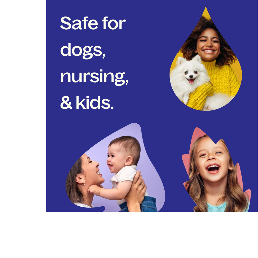 Balance Essential Oil Blend