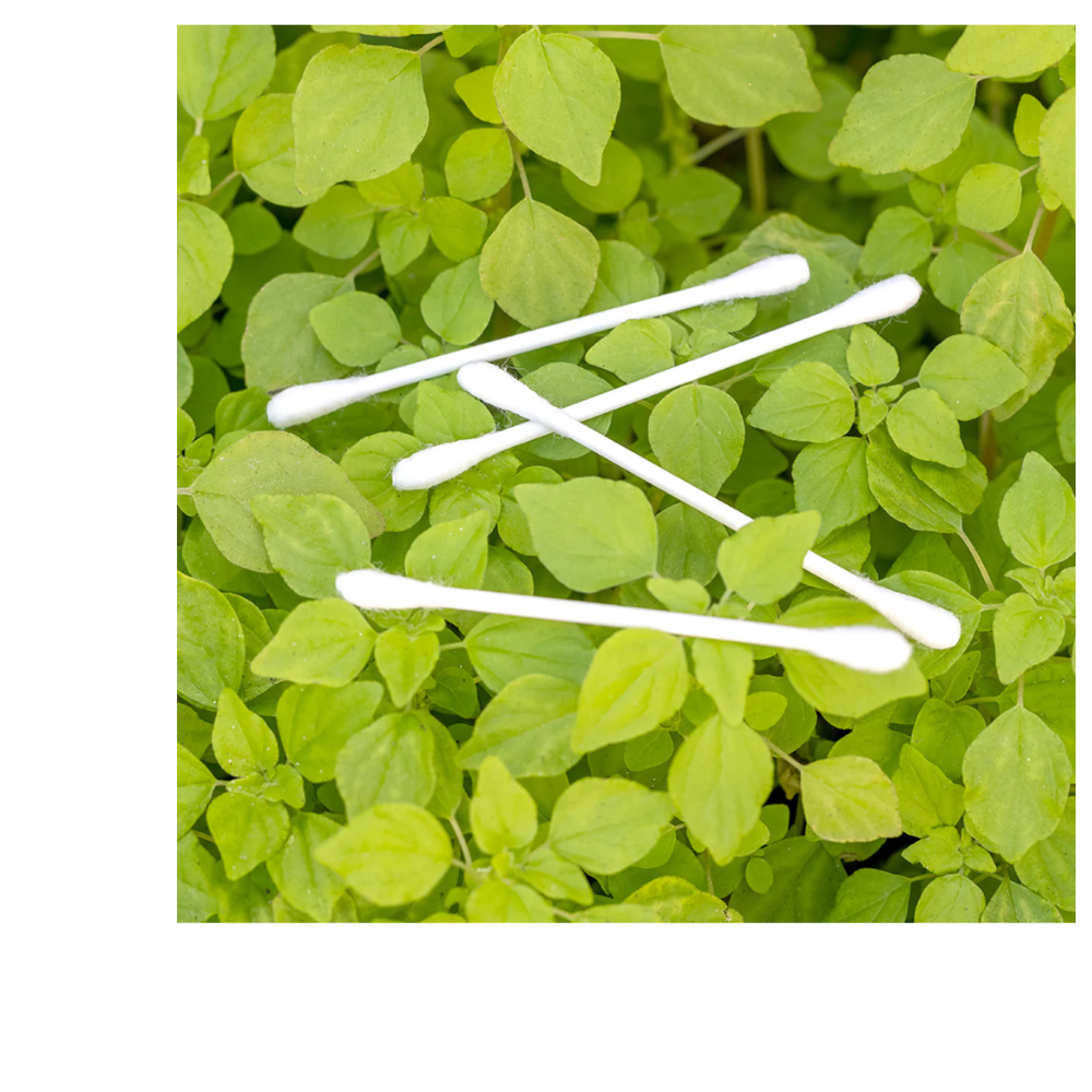 ORGANIC COTTON SWABS