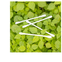 Thumbnail for ORGANIC COTTON SWABS