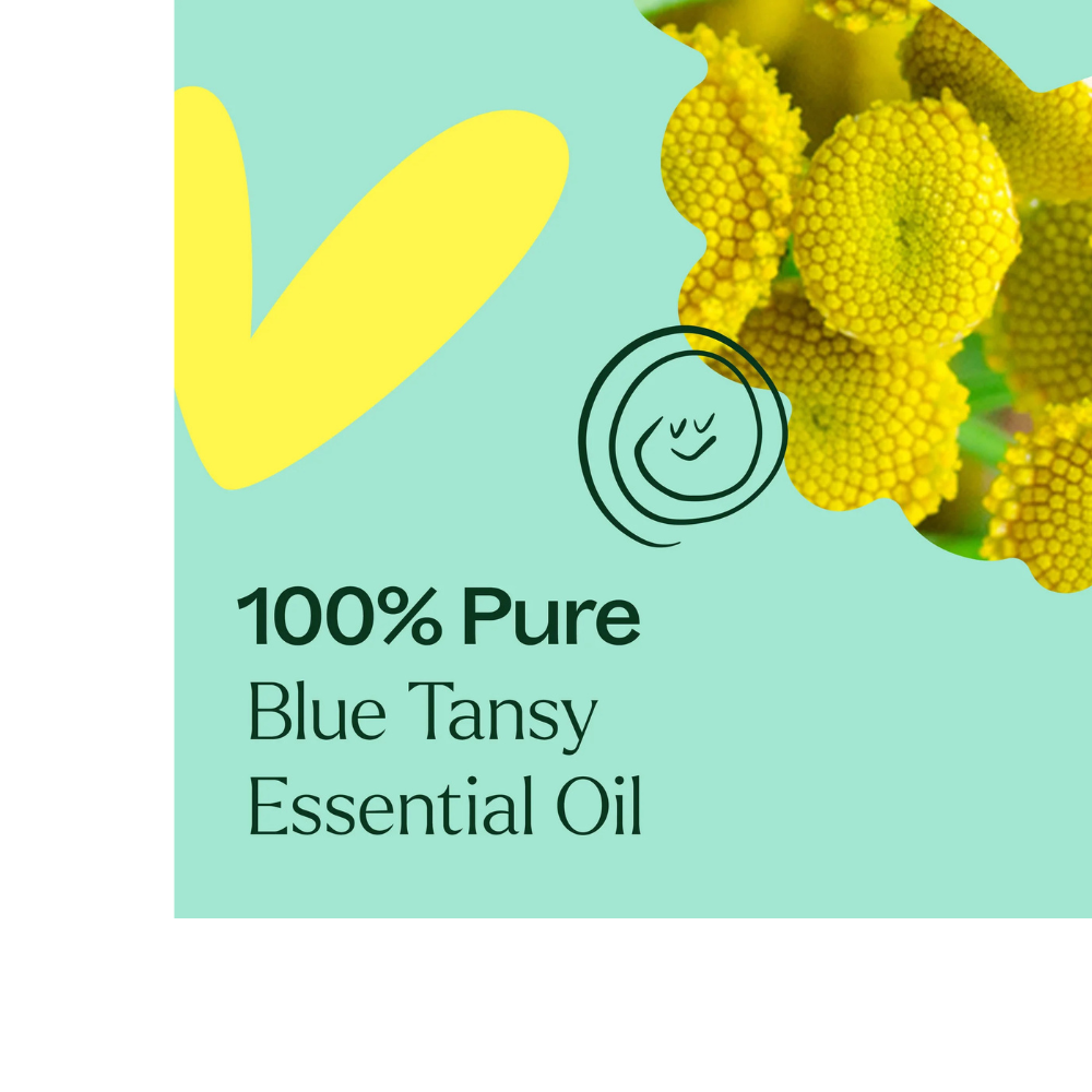 Blue Tansy Essential Oil
