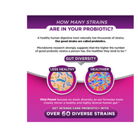 Thumbnail for INTENSE CARE VAGINAL PH URINARY PROBIOTIC