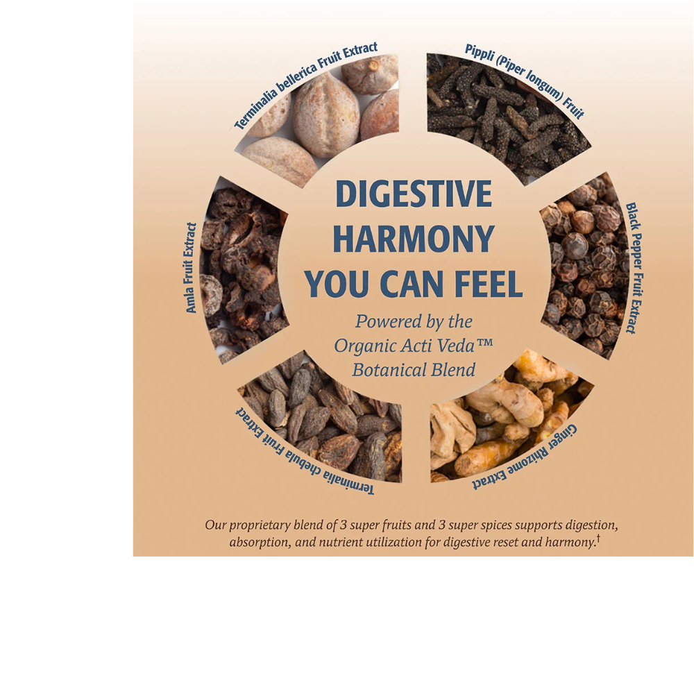 10-Day Gut Reset Probiotic Capsules - 10 Servings