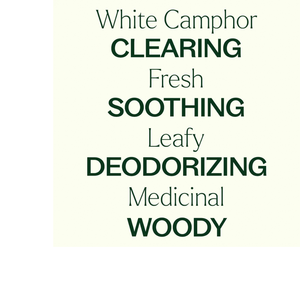 White Camphor Essential Oil
