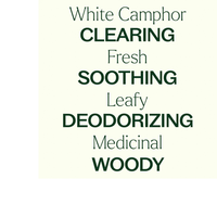 Thumbnail for White Camphor Essential Oil