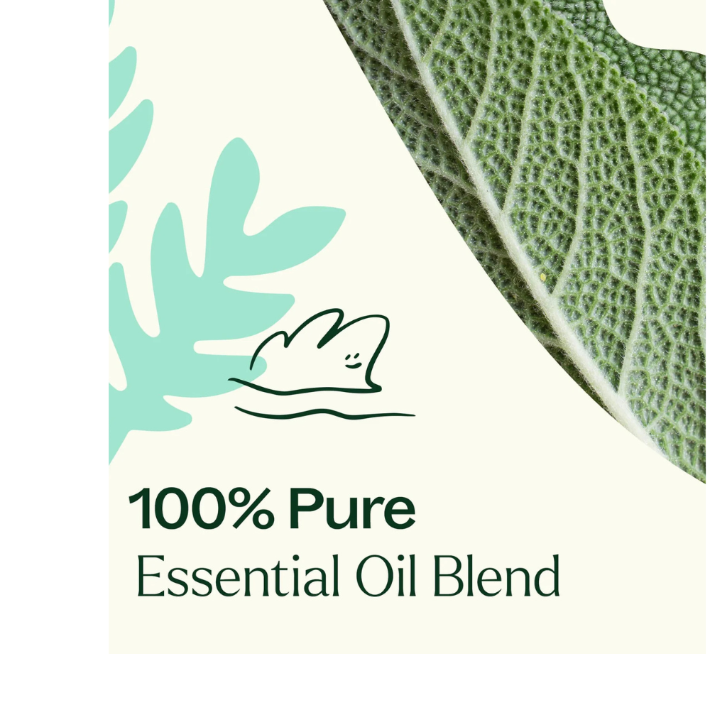 Dalmatian Sage Essential Oil