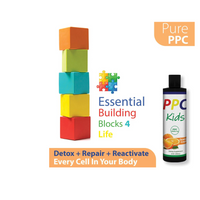 Thumbnail for PhosChol PPC Kids Liposomal Orange Cream