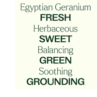 Thumbnail for Organic Egyptian Geranium Essential Oil