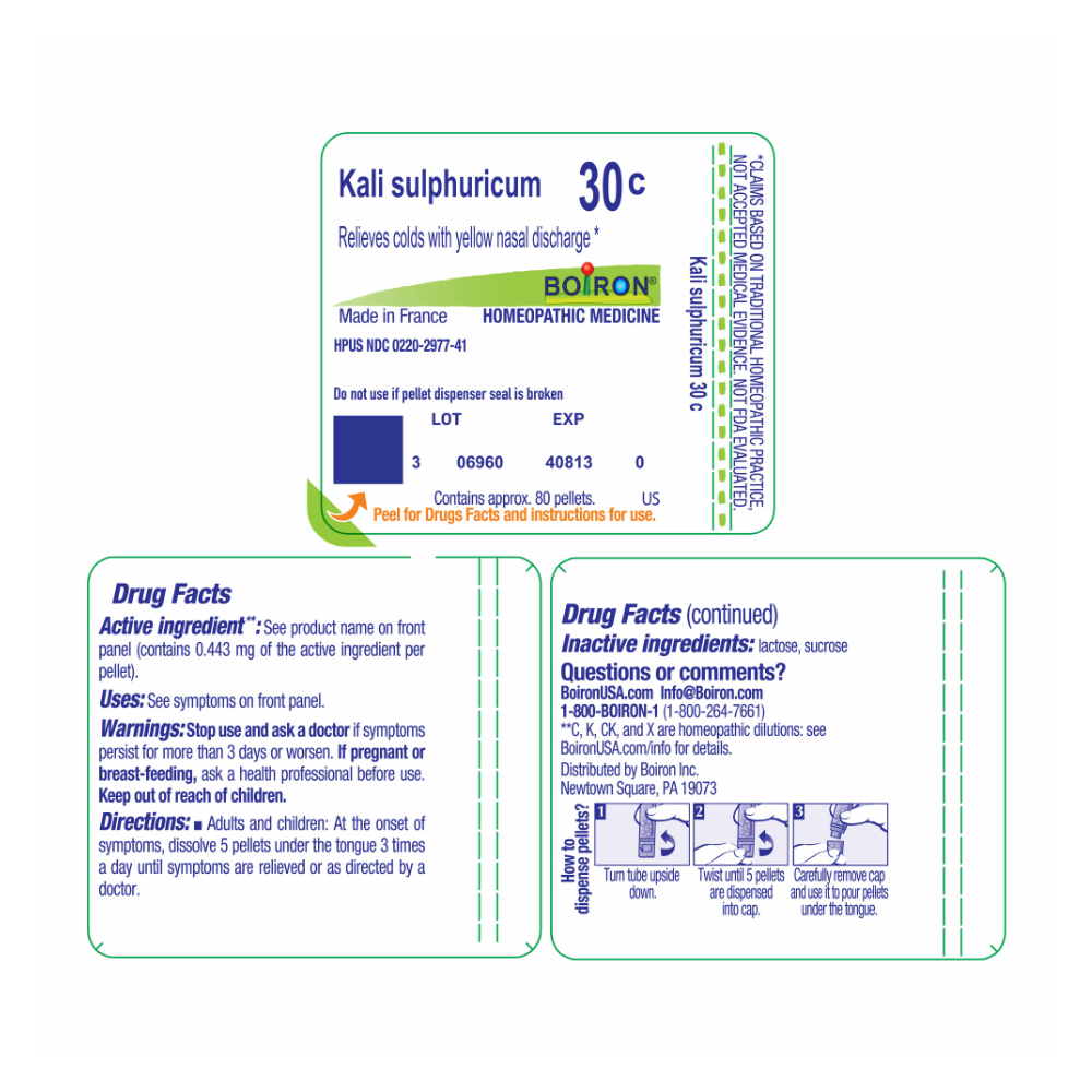 KALI SULPHURICUM 6 C MD