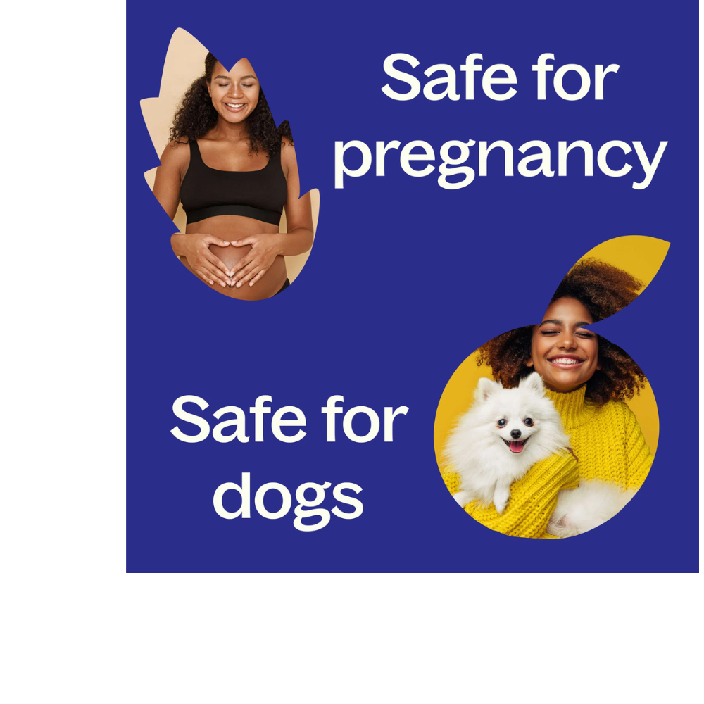 Frankincense Serrata Essential Oil