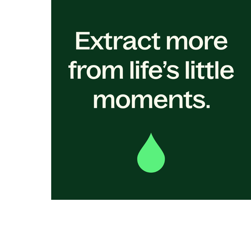 CASSIS & CEDAR NATURALLY SCENTED CANDLE