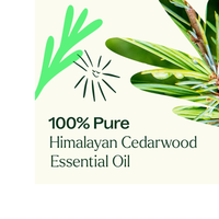 Thumbnail for Himalayan Cedarwood Essential Oil