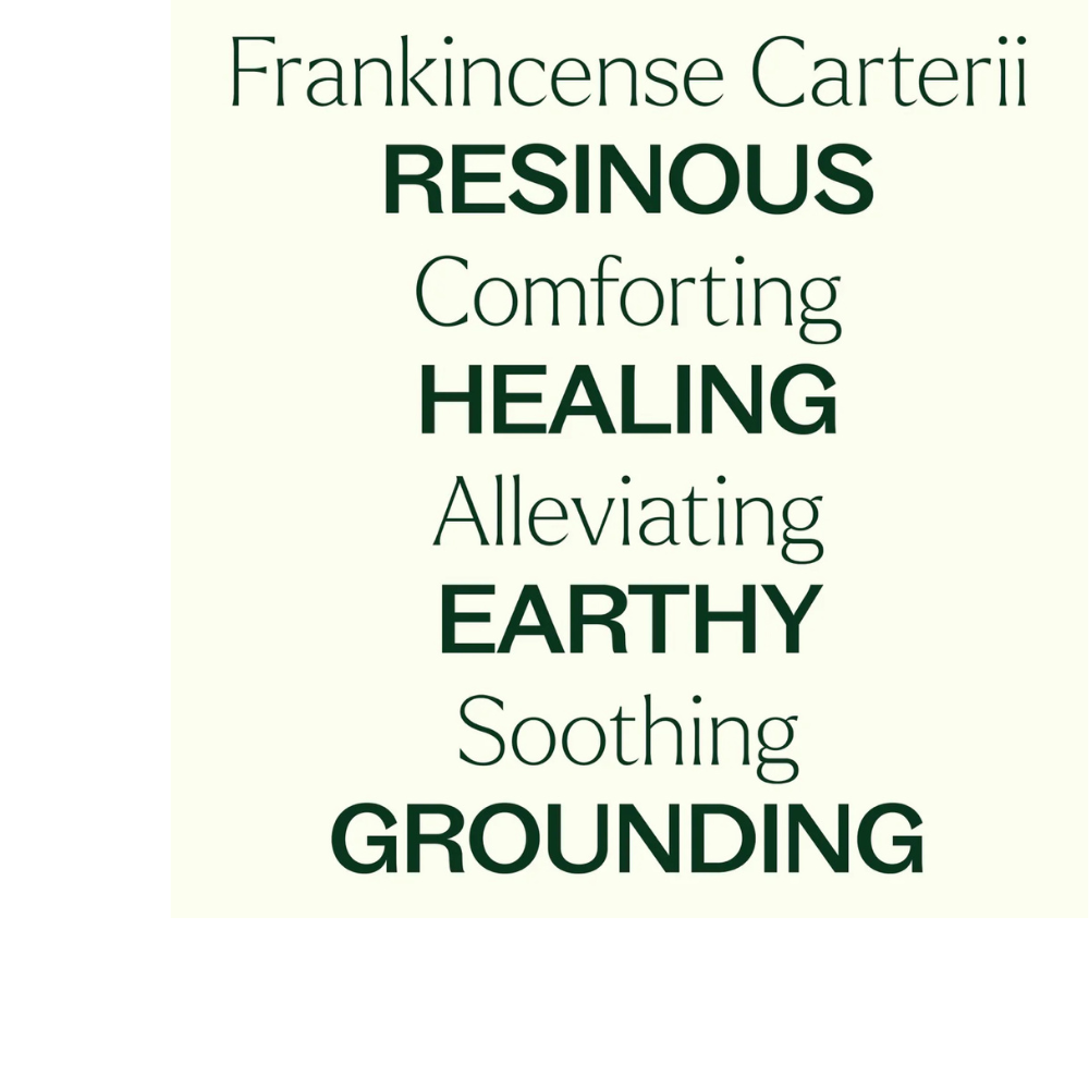 FRANKINCENSE CARTERII ESSENTIAL OIL