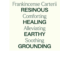 Thumbnail for FRANKINCENSE CARTERII ESSENTIAL OIL