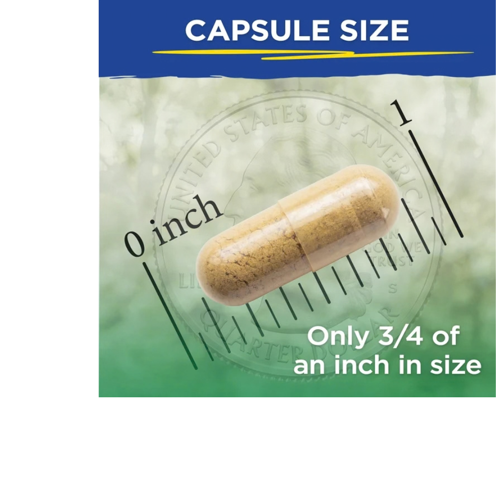 Vital LiverPURE 2-Part, 14-Day Kit