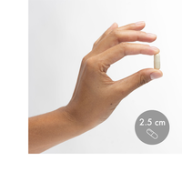 Thumbnail for MSM Sulfur Complex