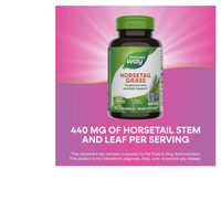 Thumbnail for Horsetail Grass