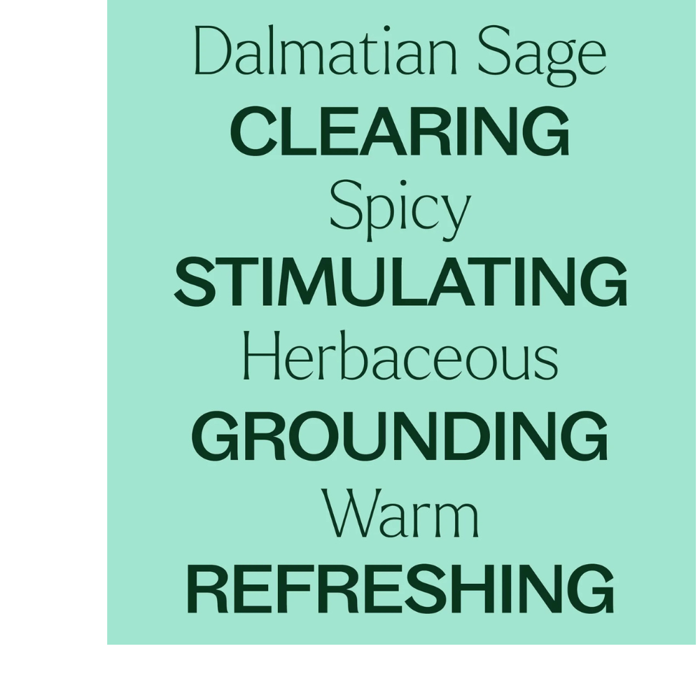 Dalmatian Sage Essential Oil