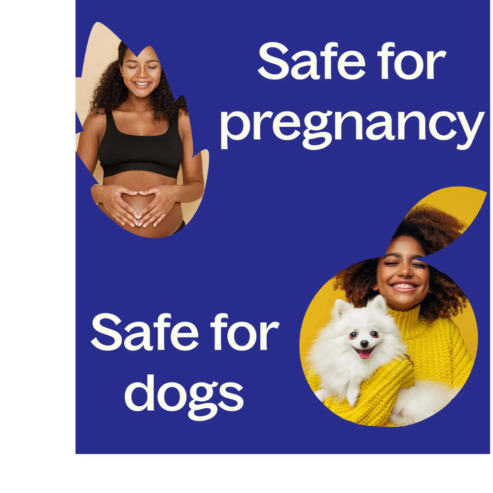 Organic Rosemary 1,8-Cineole Essential Oil