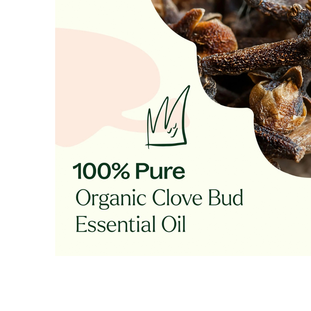 ORGANIC CLOVE BUD ESSENTIAL OIL