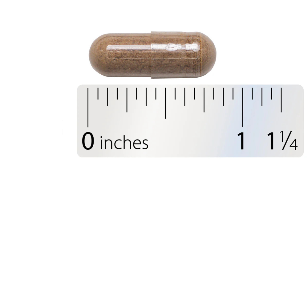 Horse Chestnut Premium Extract