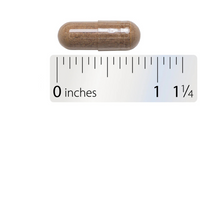 Thumbnail for Horse Chestnut Premium Extract