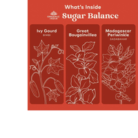 Thumbnail for Sugar Balance Capsules – Organic Blood Sugar Support Supplement