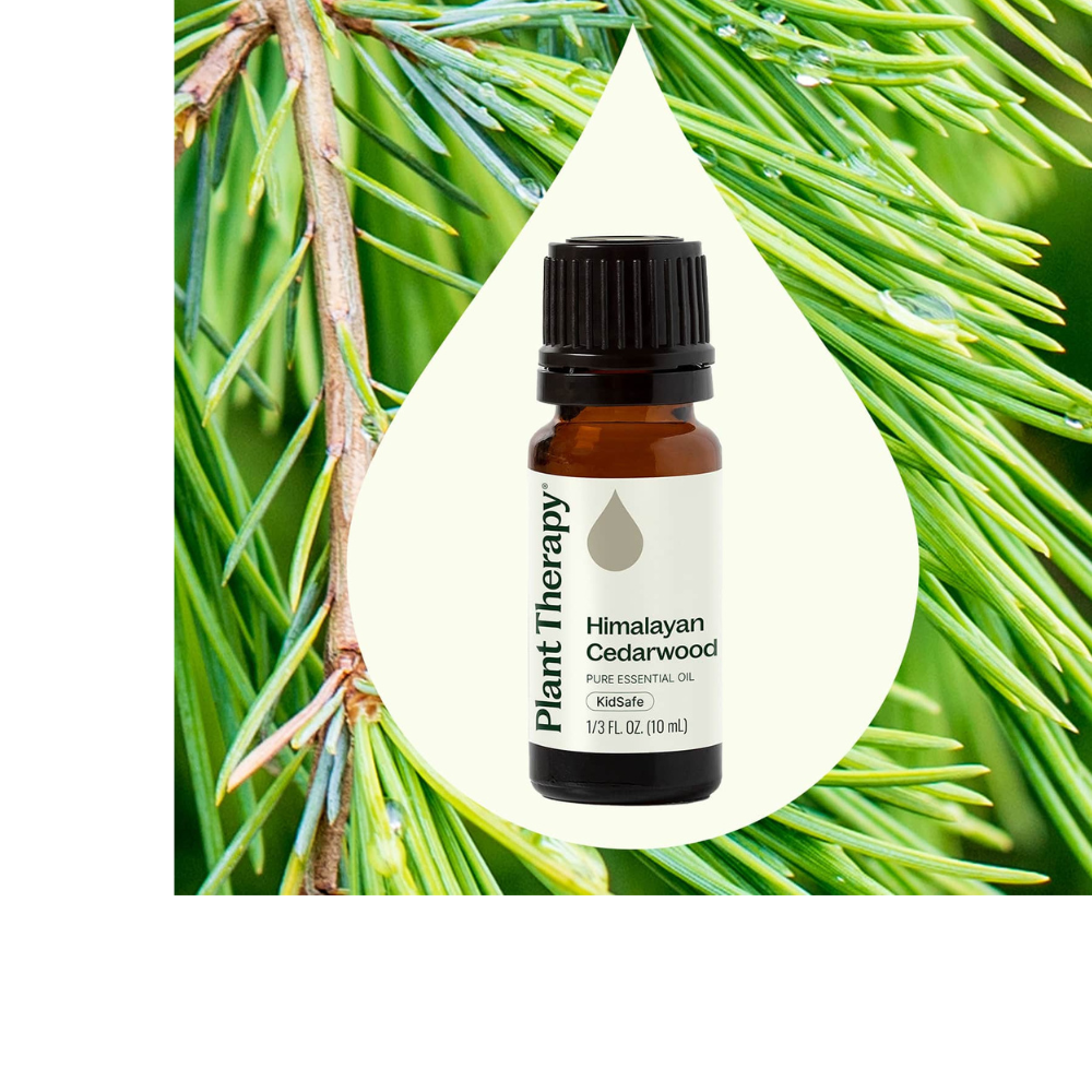 Himalayan Cedarwood Essential Oil