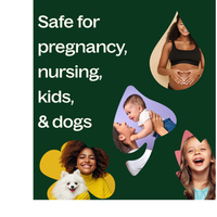 Thumbnail for Organic Egyptian Geranium Essential Oil